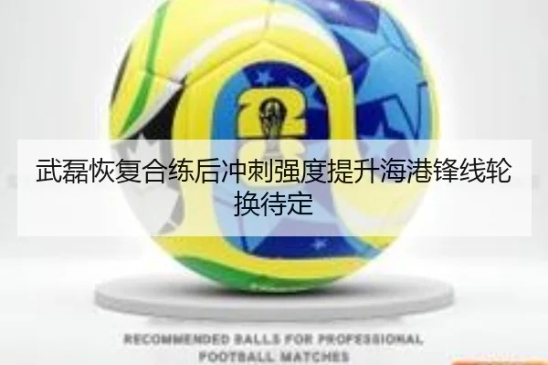 武磊恢复合练后冲刺强度提升海港锋线轮换待定
